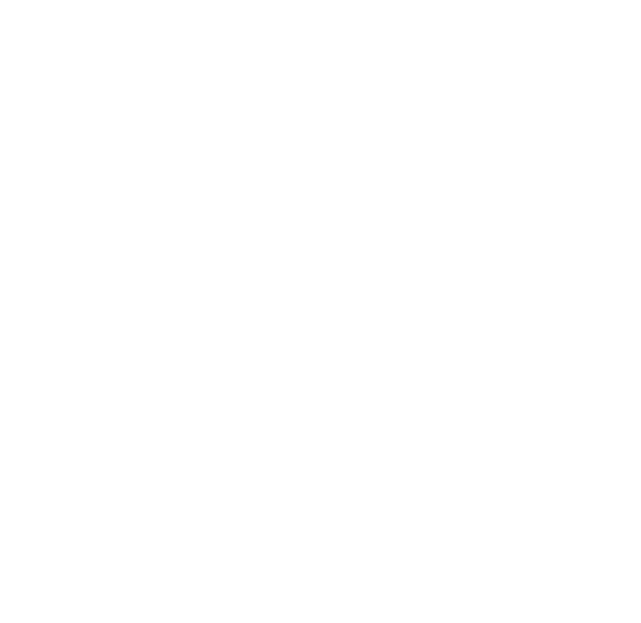Partner Program logo